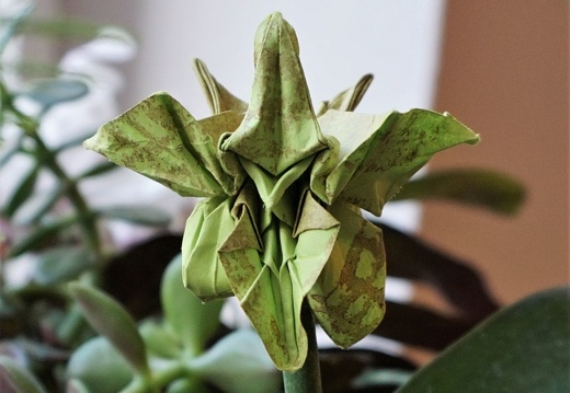 Japanische Faltkunst 3d Origami Blüte Cattleya Orchidee - Dieses Album anzeigen Japanische Faltkunst 3d Origami Blüte Cattleya Orchidee